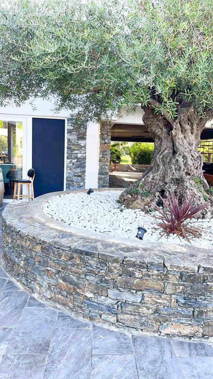 Aménagement extérieur Corse